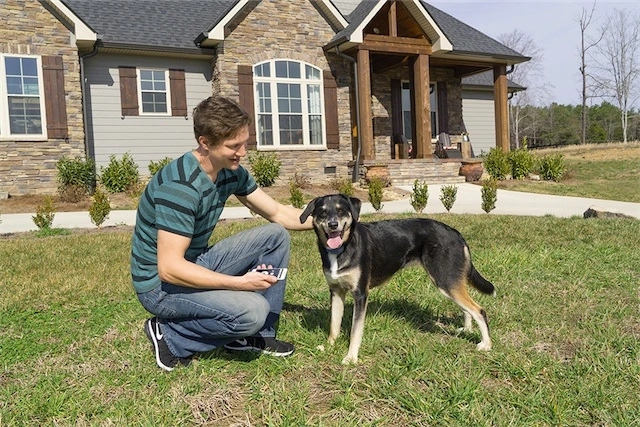 SMART DOG  Trainer