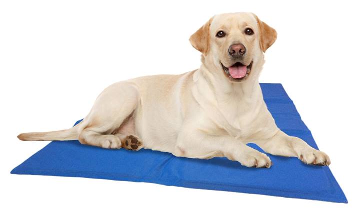 Quapas! Dog Cooling Mat