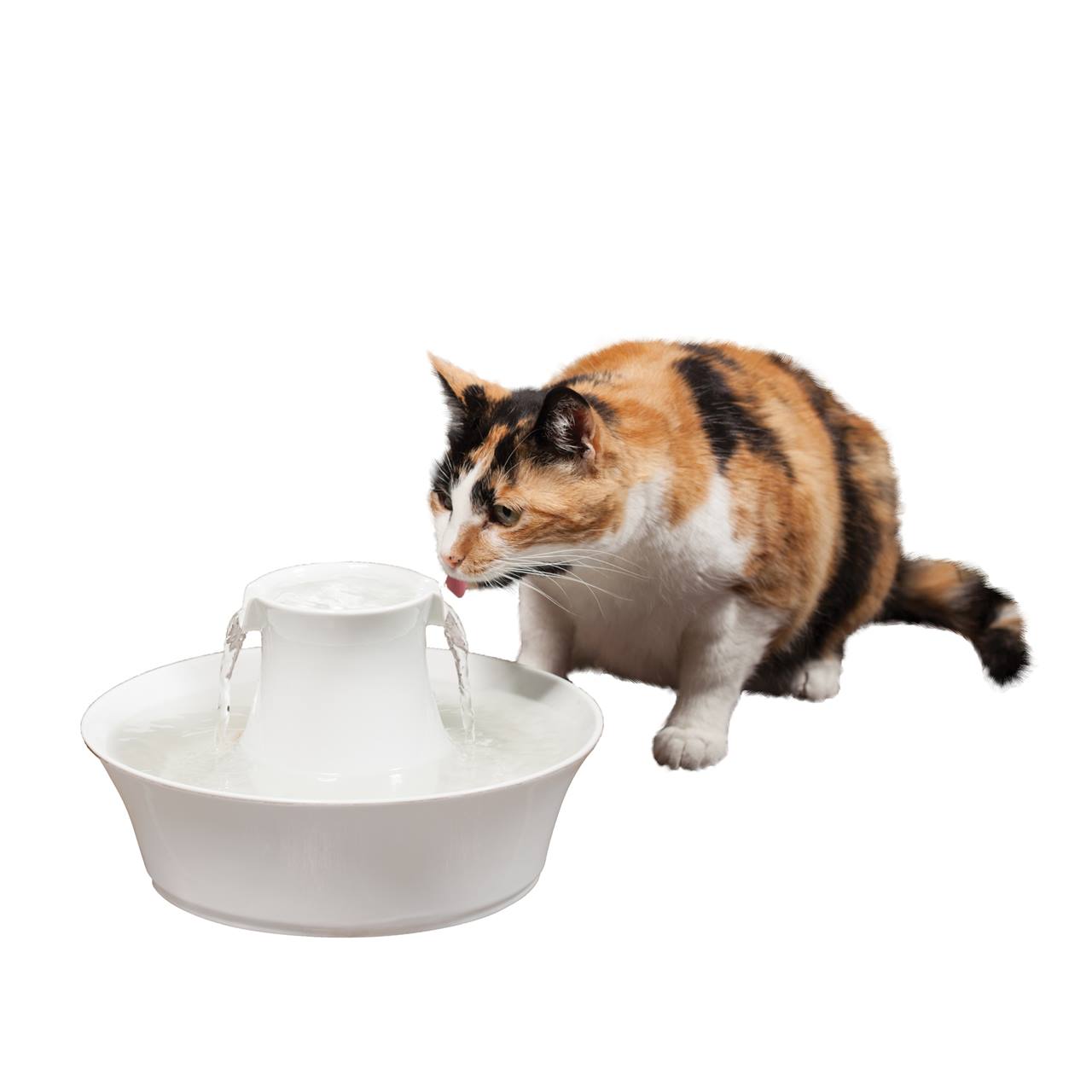 PetSafe® Drinkwell® Ceramic Avalon Pet Fountain