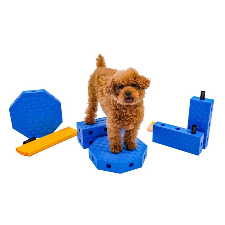 Fitpaws FitKinect Core