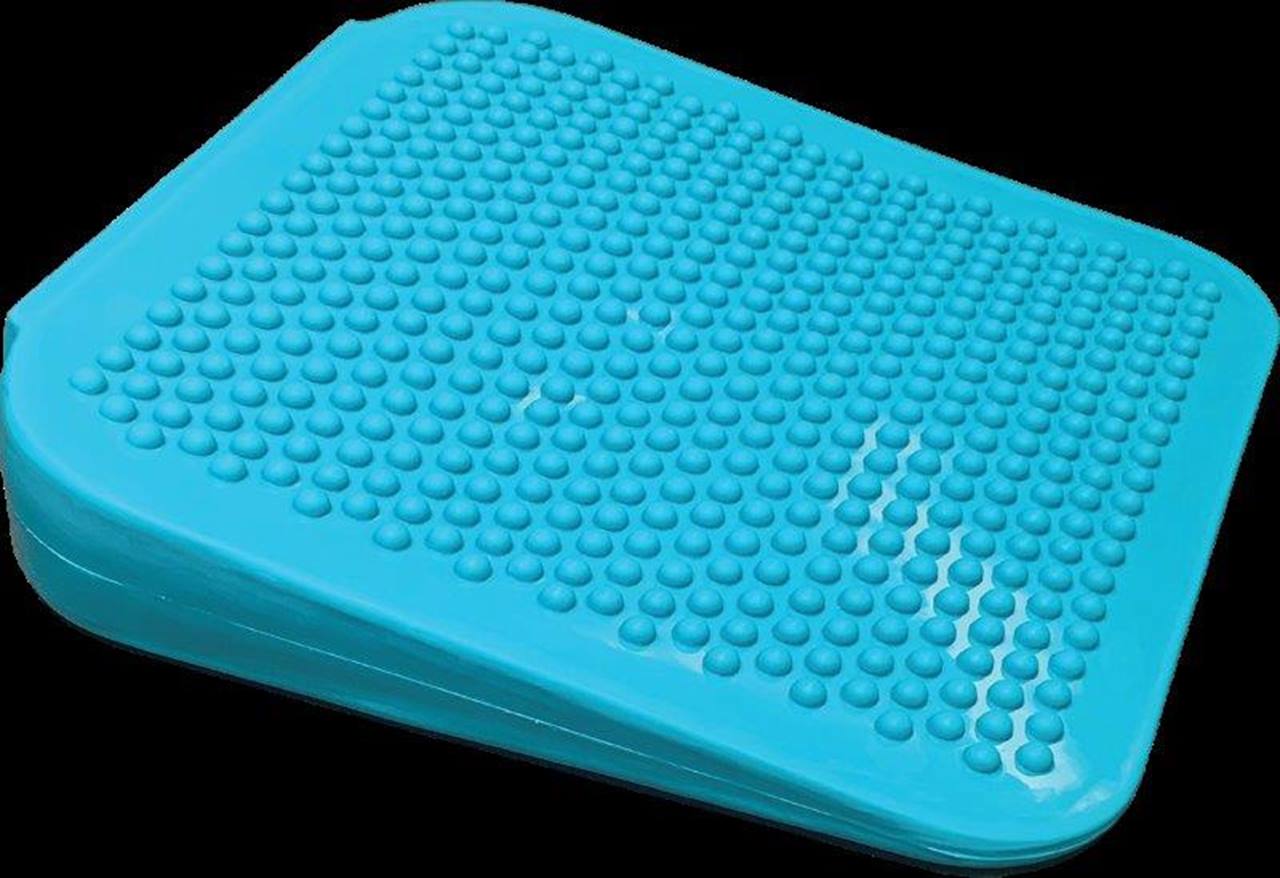 FitPAWS Dog Balance Ramp