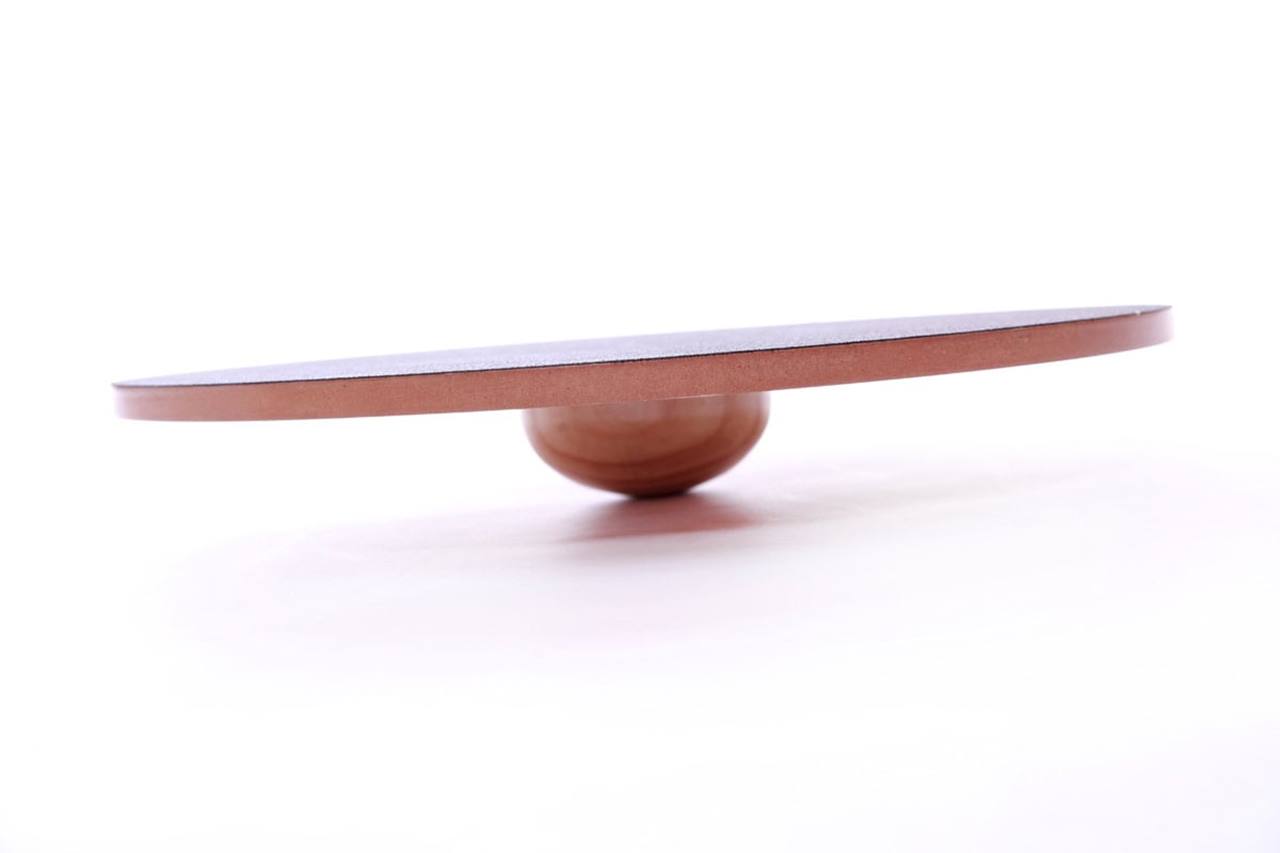 FitPAWS 90 cm Wobble Board