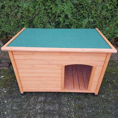 Dog House Bungalow
