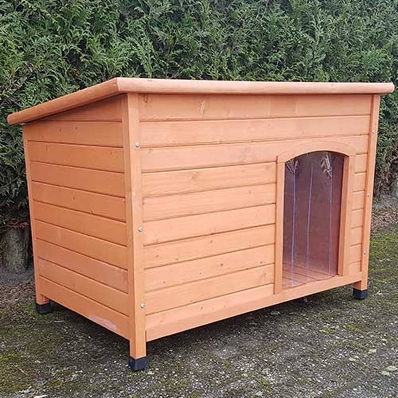 Dog House Bungalow