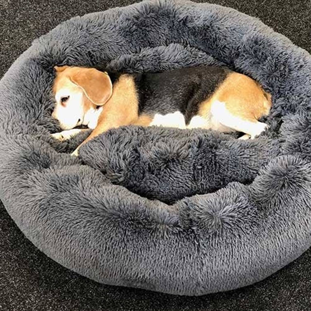 Dog Bed Cuddle Grey