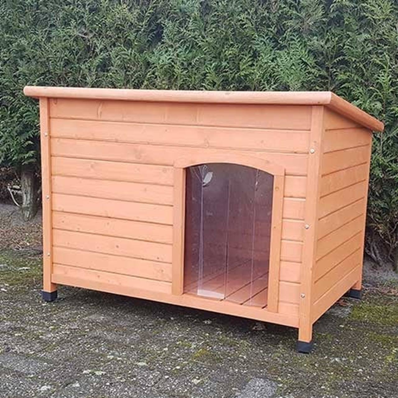 Dog House Bungalow