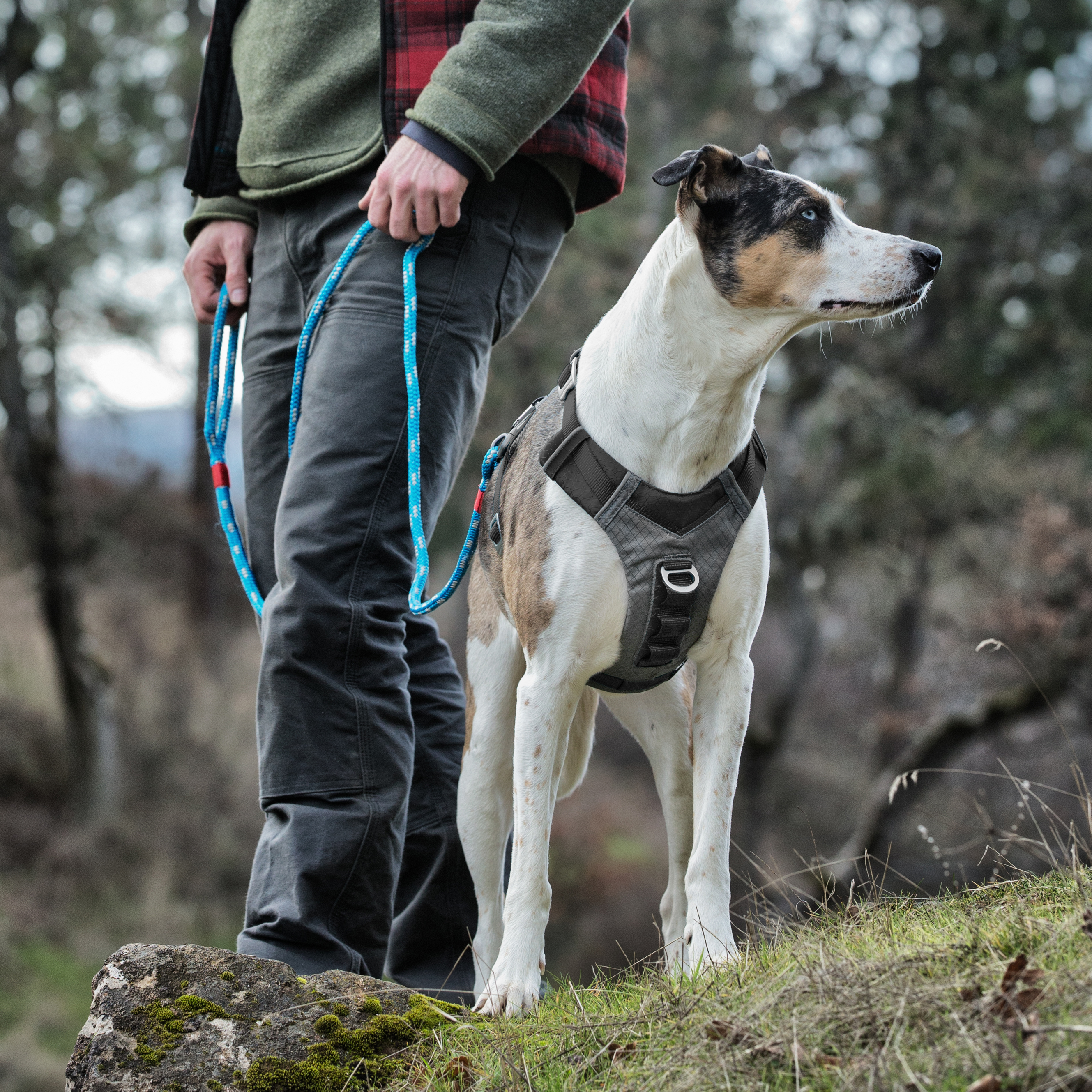 Kurgo Journey Air Harness XS