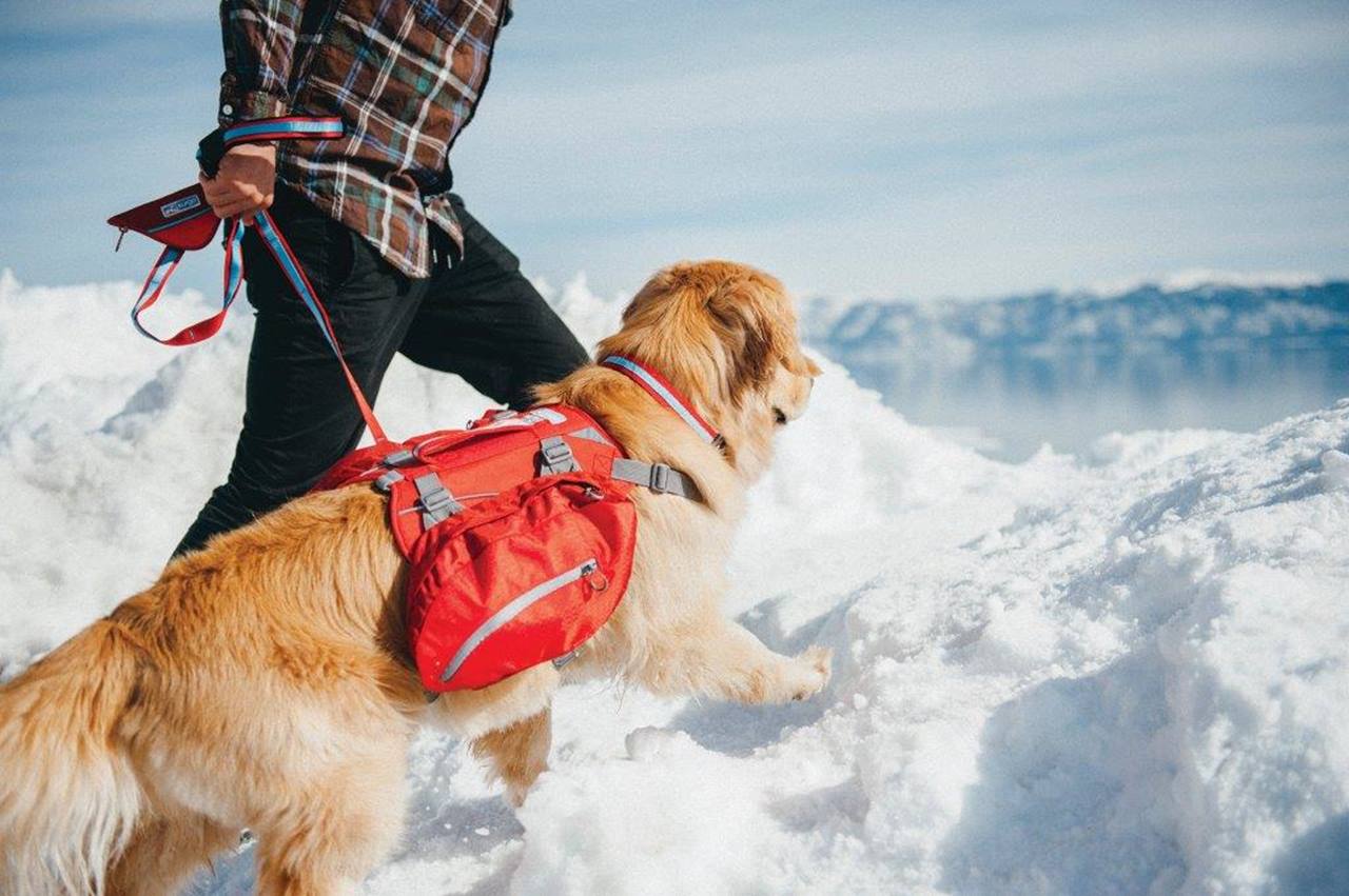 Kurgo Baxter Backpack, Barn Red