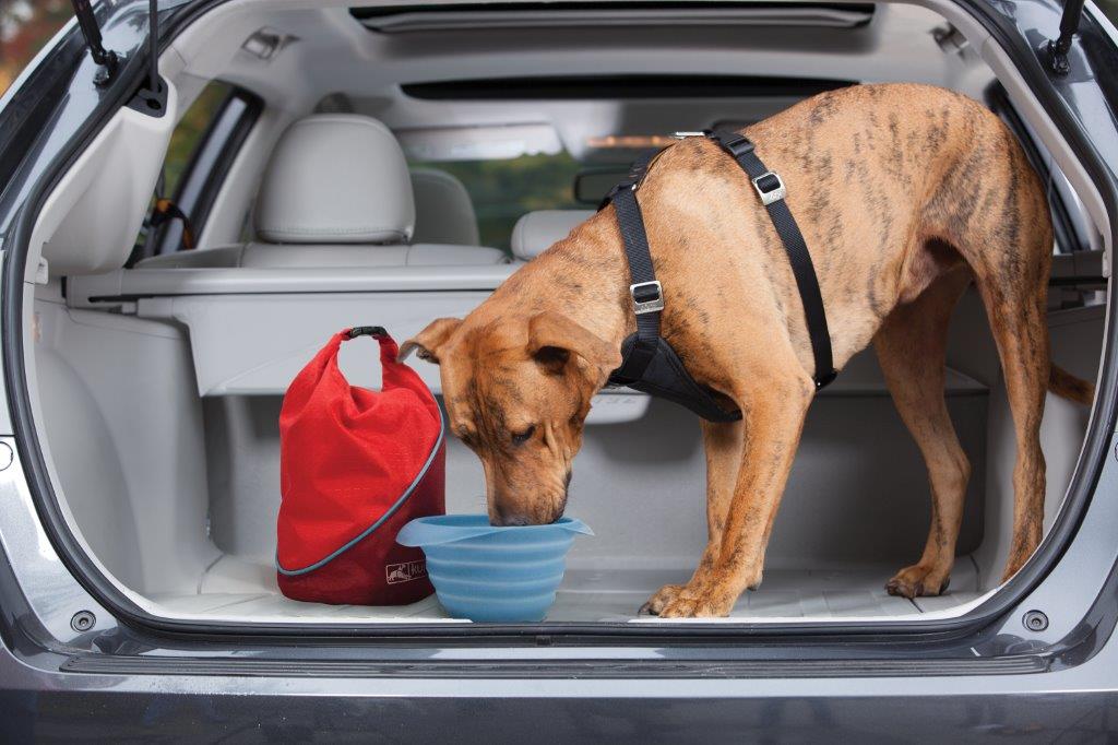 Kurgo Kibble Carrier, Chilli Red
