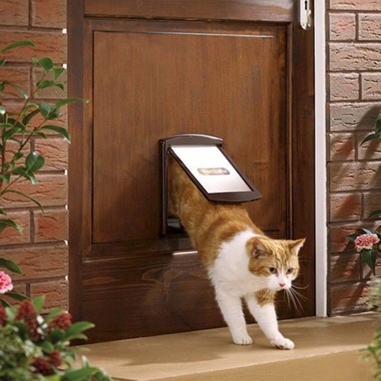 PetSafe® Staywell® Original 2-Way Pet Door, Brown