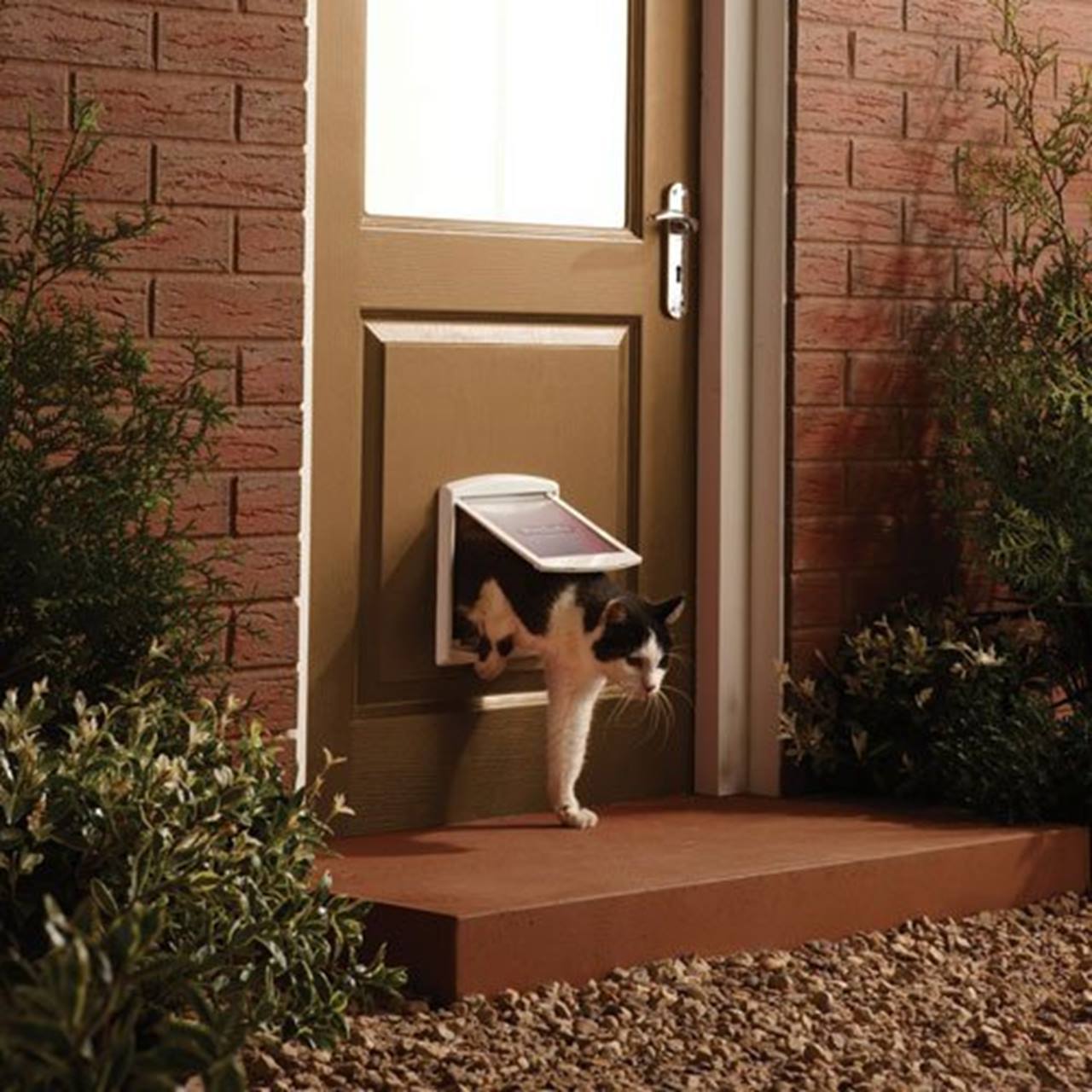 PetSafe® Staywell® Original 2-Way Pet Door