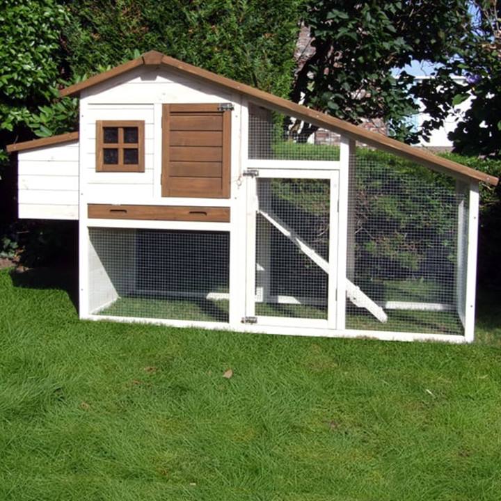 Kippenhuis Country Club, Wit/Bruin