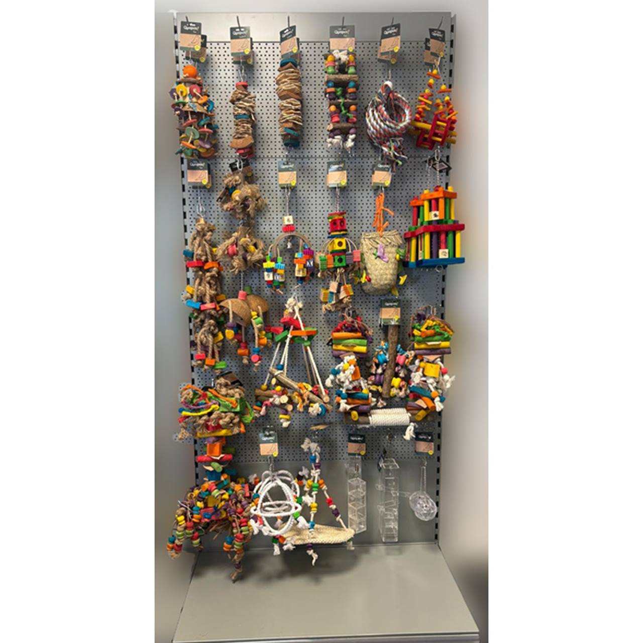 Quapas! Winkelpresentatie Vogel Rainbow