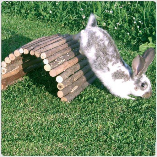 Quapas! Wooden Bridge S