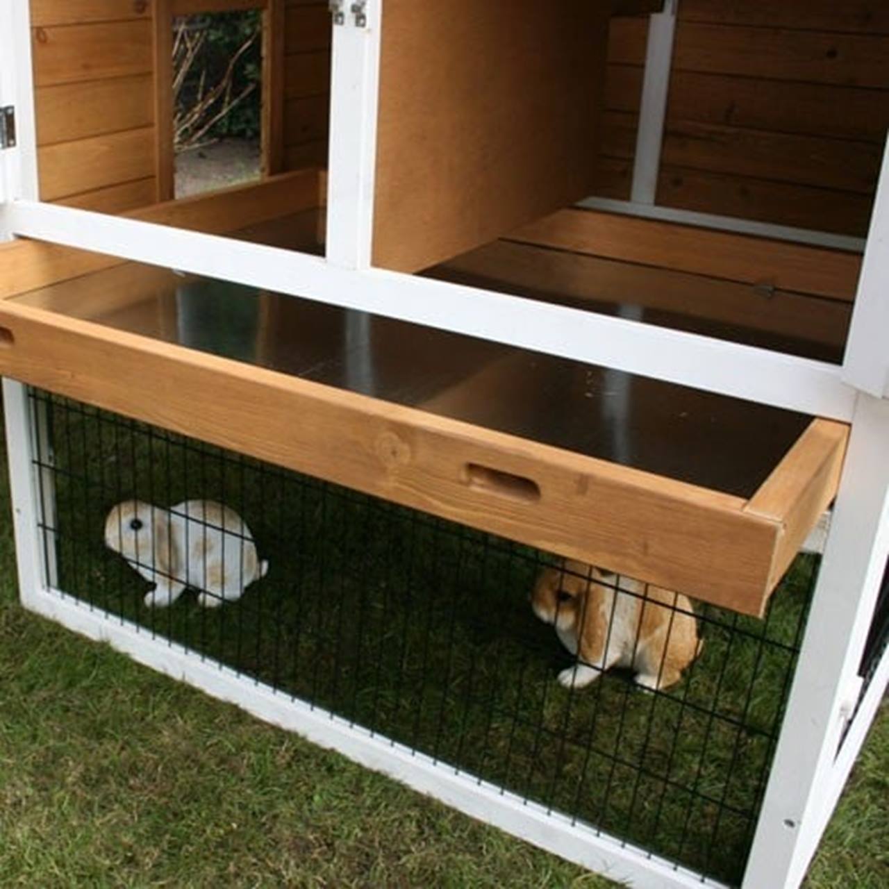 Konijnenhok Queens Castle ren rechts