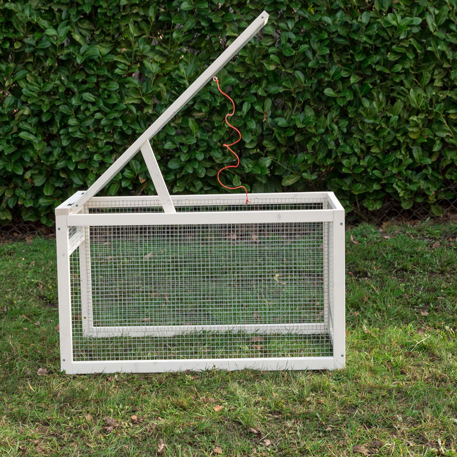 Rabbit run, white