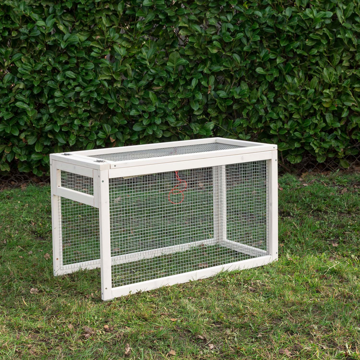 Rabbit run, white
