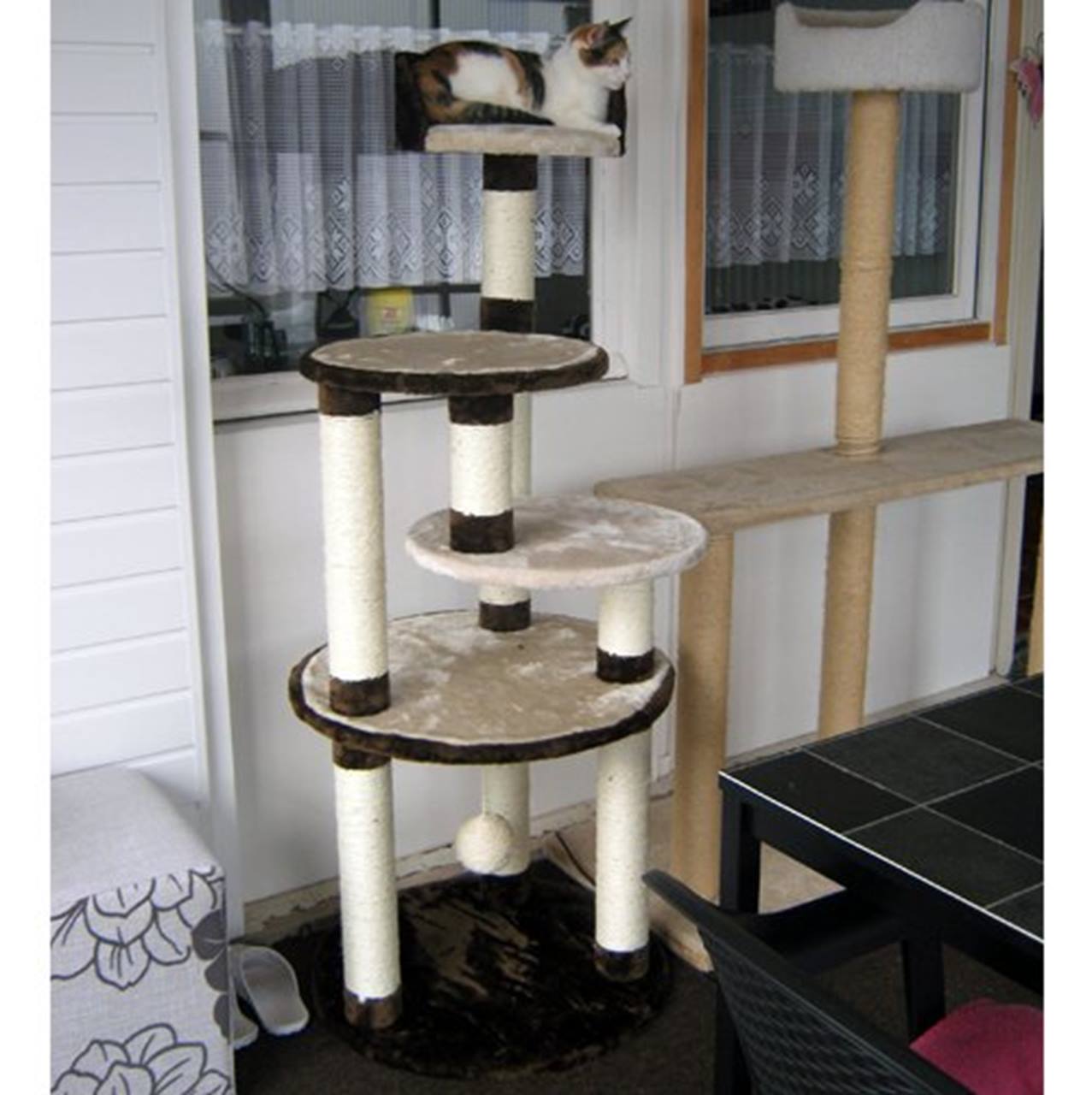 Catscratcher Florence