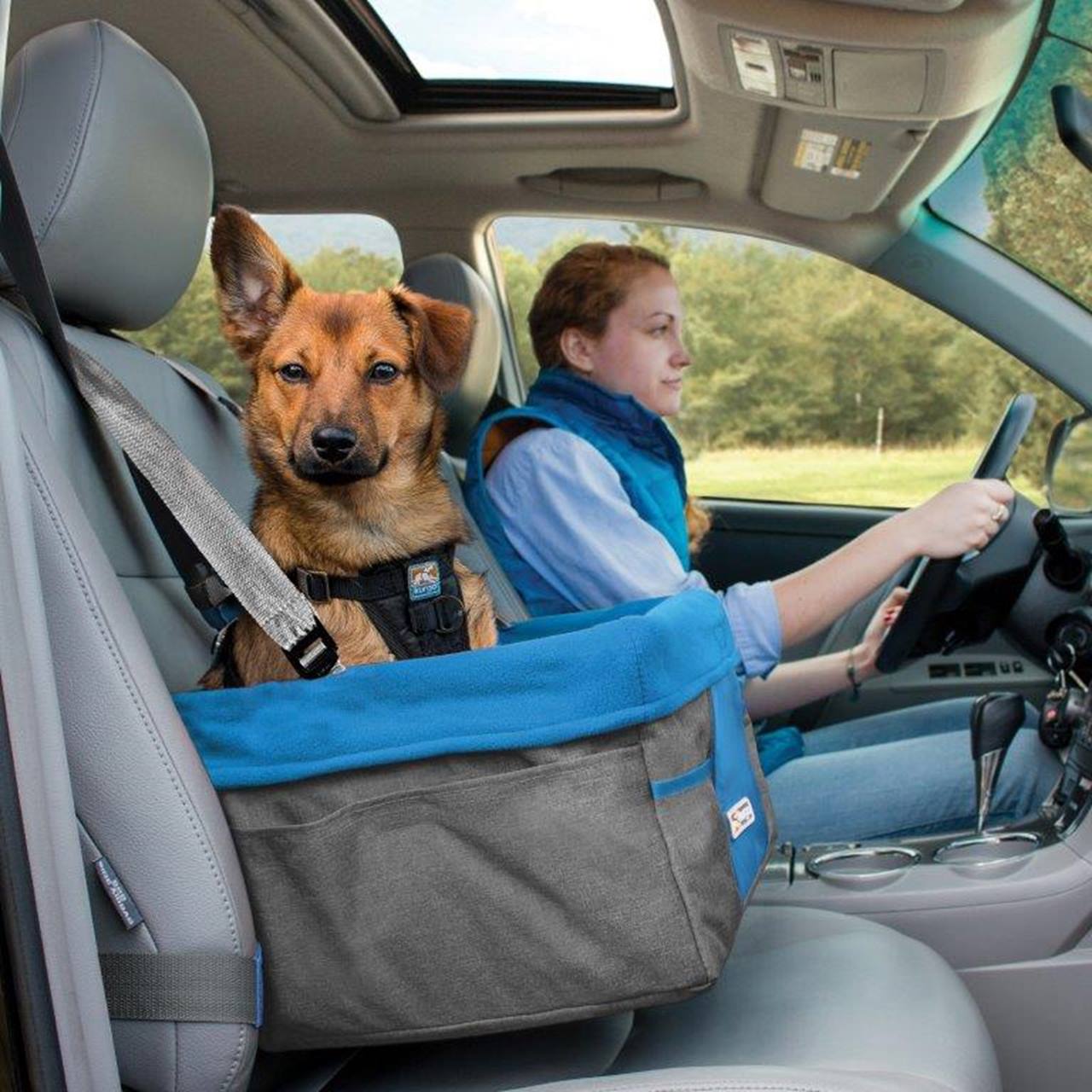 Kurgo Heather Booster Seat, Grey/Coastal Blue