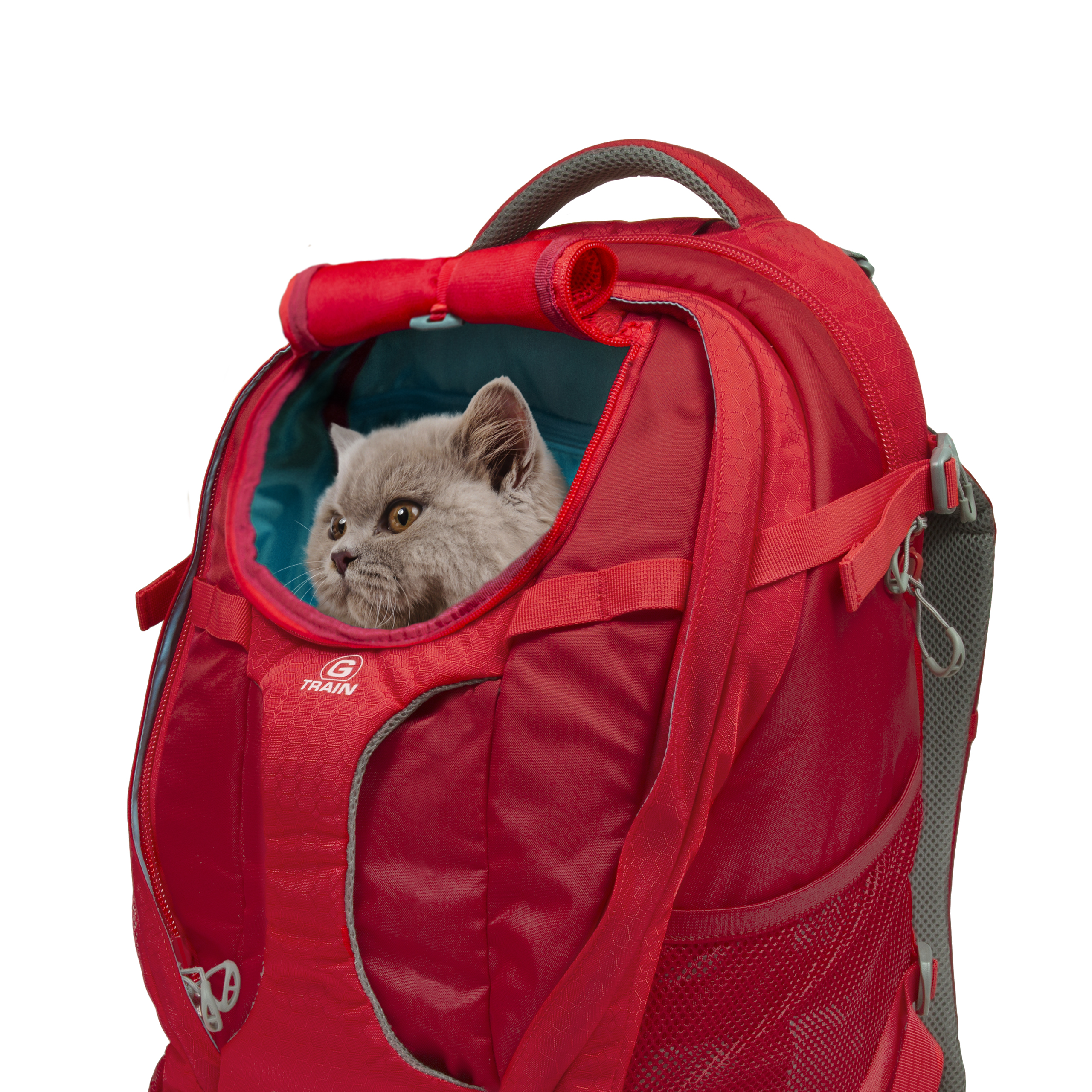 Kurgo G-Train Pack, Chili red
