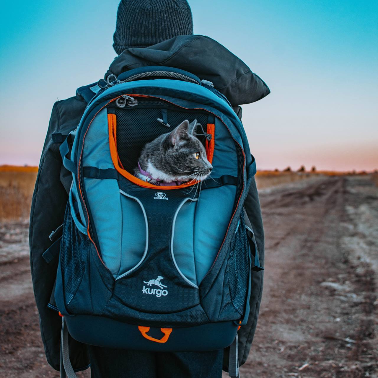 Kurgo G-train BackPack, Navy Blue