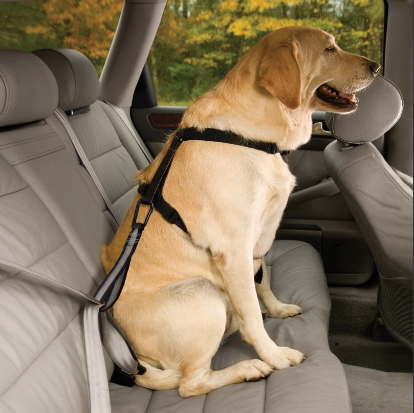 KURGO VEHICLE SEATBELT TETHER BLACK/SILVER