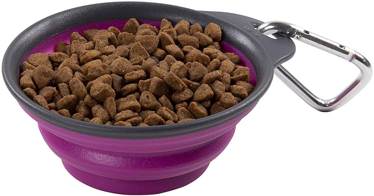 Dexas Collapsible Travel Cup Pro Blue