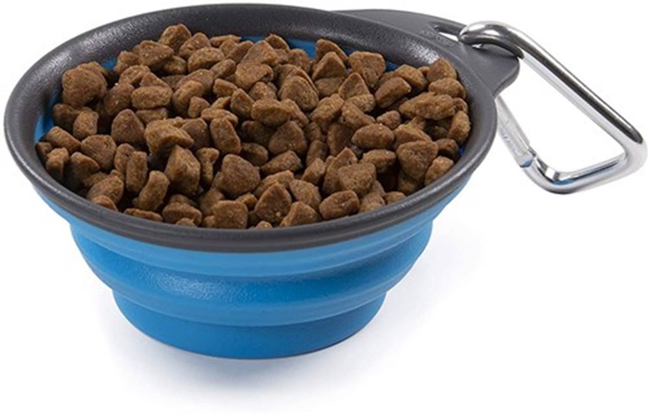 Dexas Collapsible Travel Cup Pro Blue