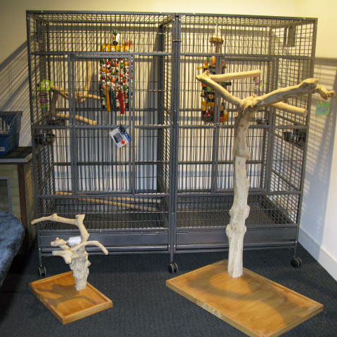 STRONG Villa Amalia, Silvertone white