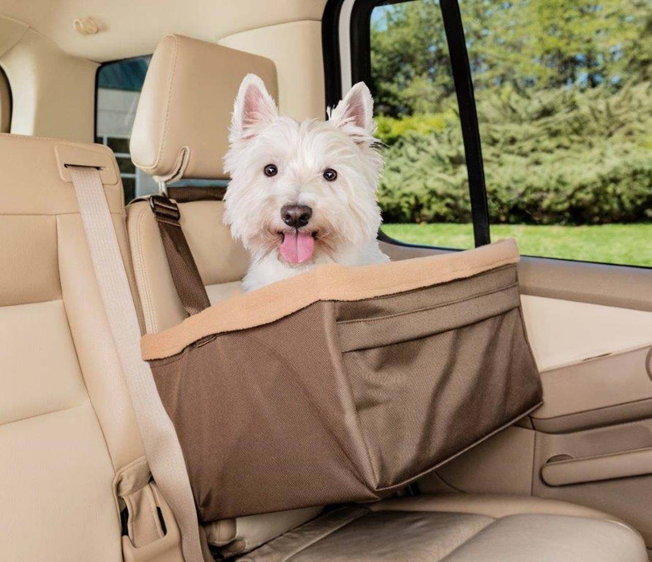 PetSafe® Happy Ride™ Booster Seat