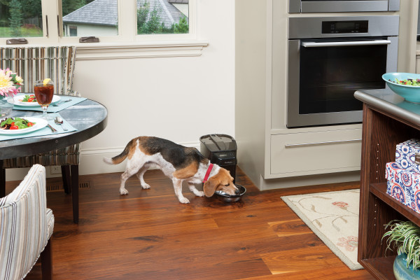 PetSafe® Healthy Pet Simply Feed™ Programmable Digital Pet Feeder