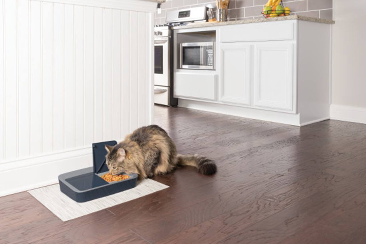 PetSafe® Digital Two Meal Pet Feeder