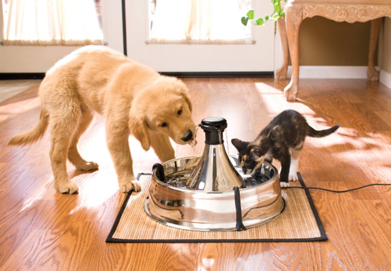 PetSafe® Drinkwell® 360 Stainless Steel Pet Fountain, EU