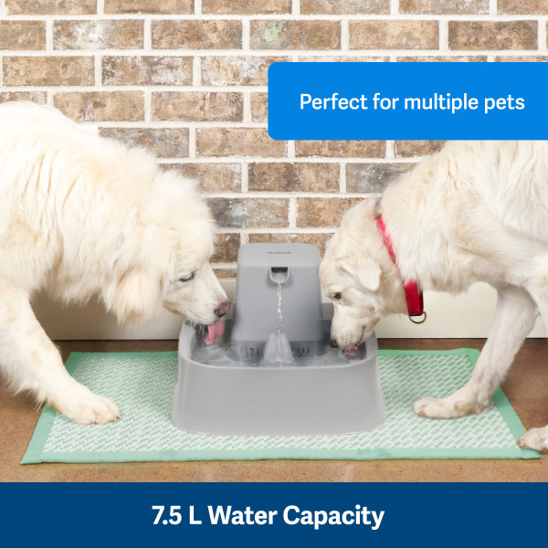 PetSafe® Drinkwell® 7,5L