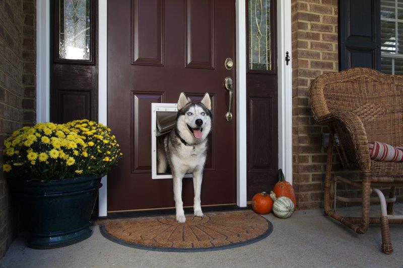 PetSafe Extreem Weer Huisdierluik