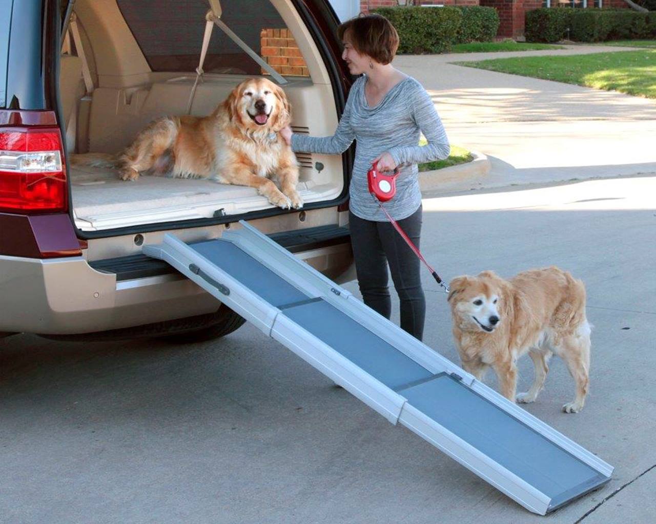 PetSafe® Happy Ride™ Compact Telescoping Dog Ramp