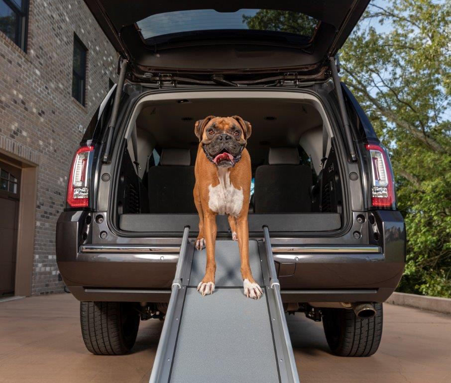 PetSafe® Happy Ride™ Compact Telescoping Dog Ramp