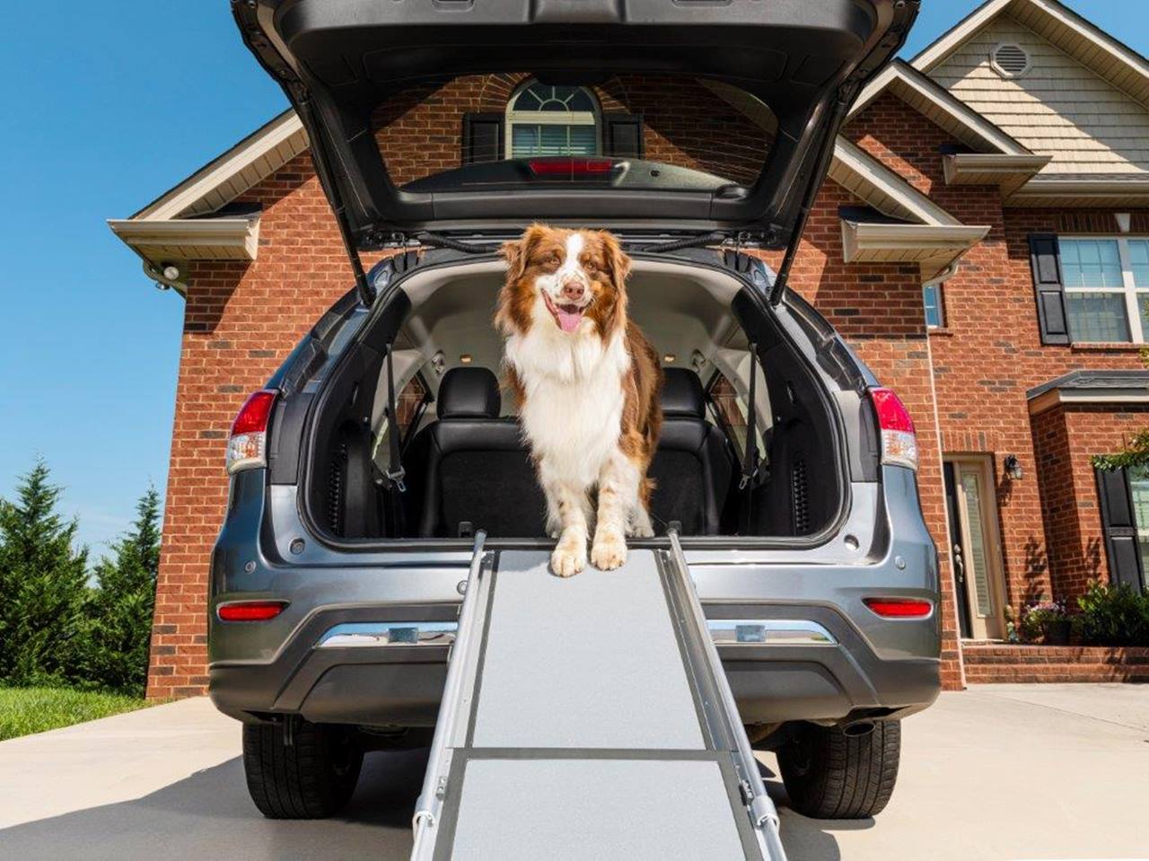 PetSafe® Happy Ride™ Telescoping Dog Ramp