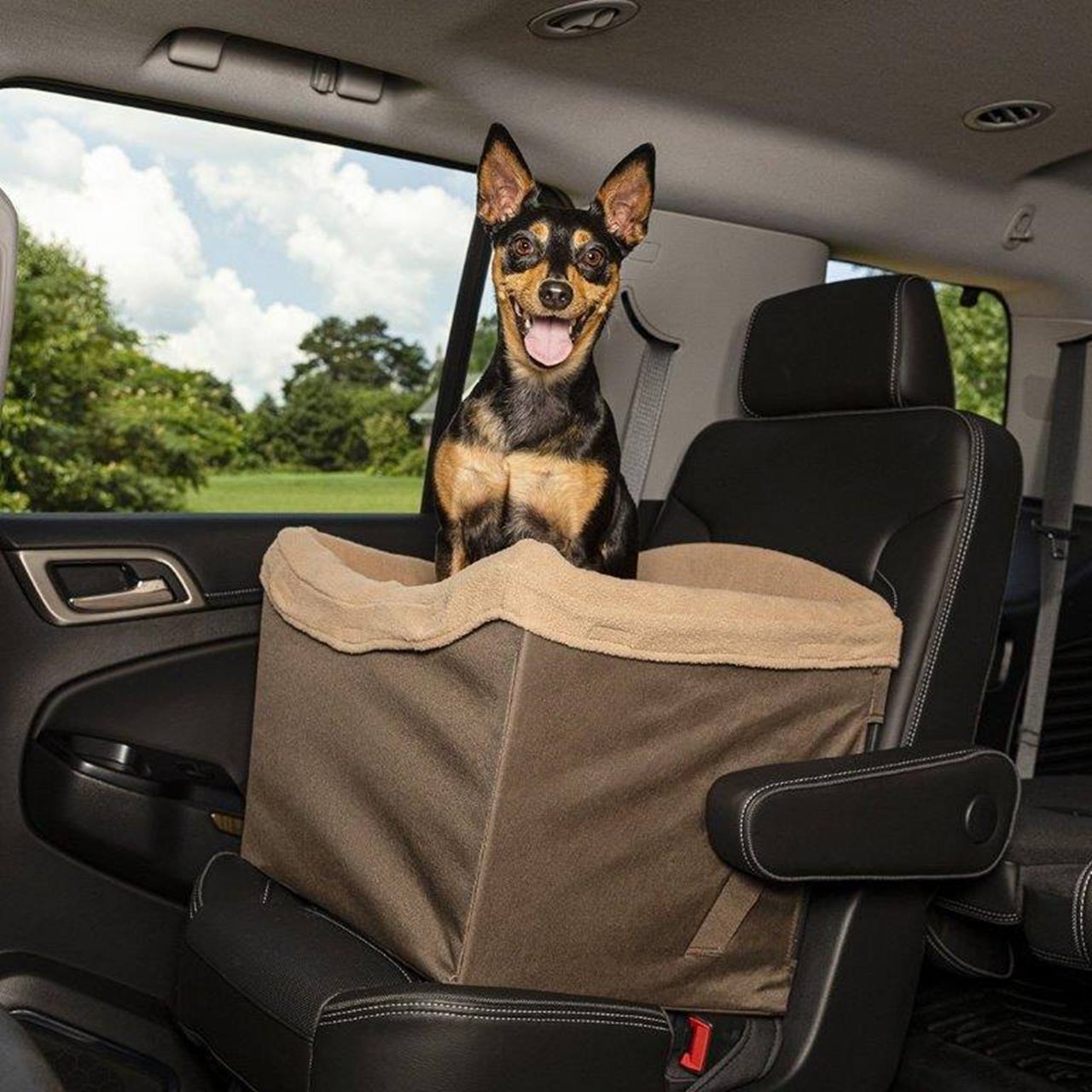 PetSafe® Happy Ride Dog Safety Seat