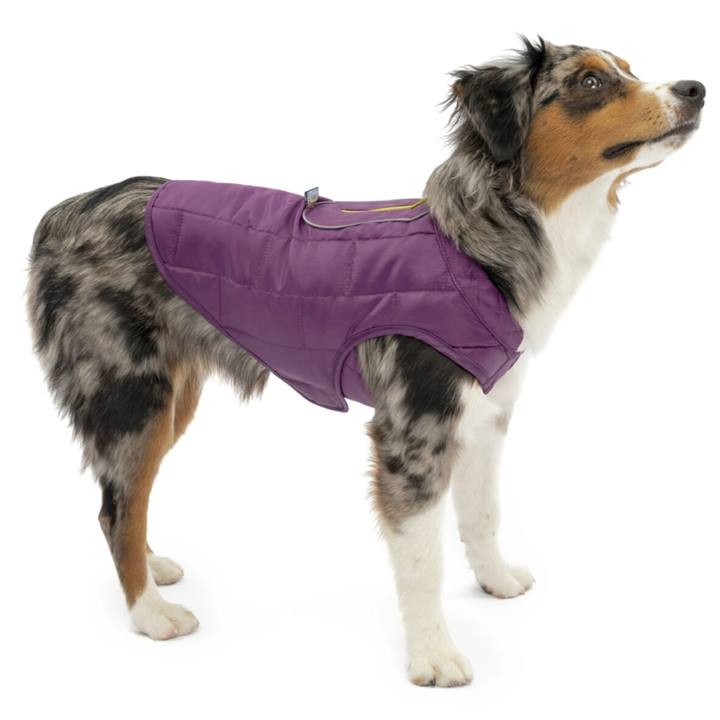 Kurgo Loft Jacket Violet/Grey