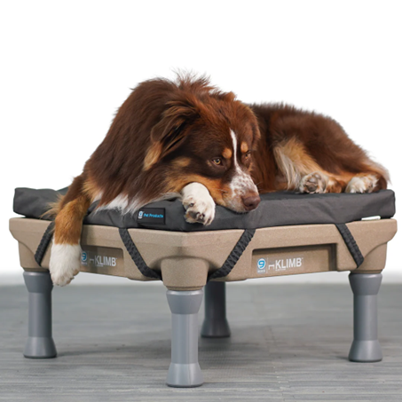 KLIMB Restore dog bed