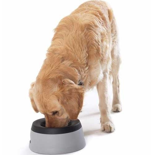 Road Refresher Large, Green