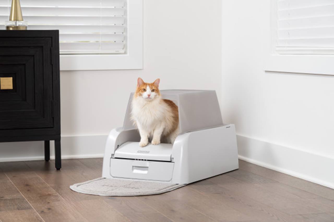 ScoopFree Clumping Litter Box Hood & Accessory Bundle (Brown Box)