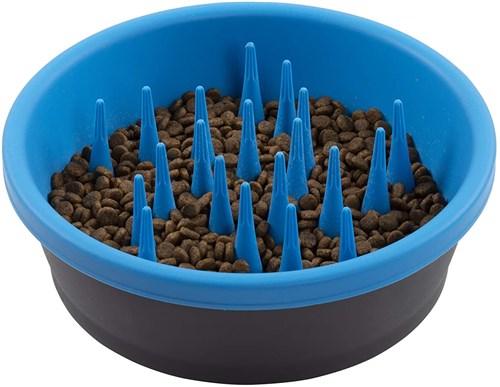 Slow Feeder , Pro blauw