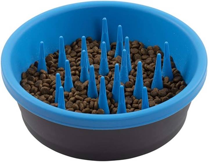 Slow Feeder , Pro blue