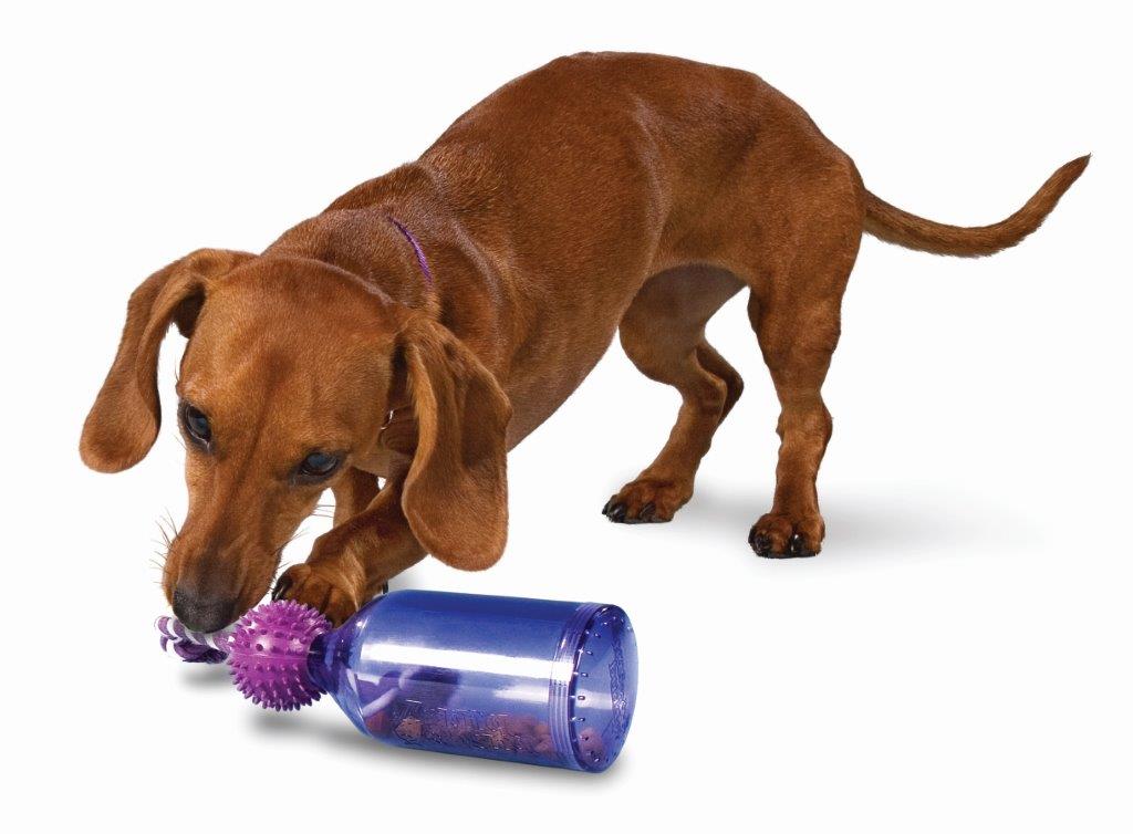 PetSafe® Busy Buddy® Tug-a-Jug, Medium/Large