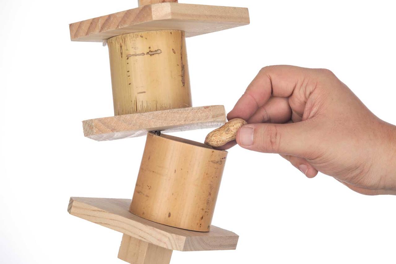 Quapas! Vogel speelgoed Piley