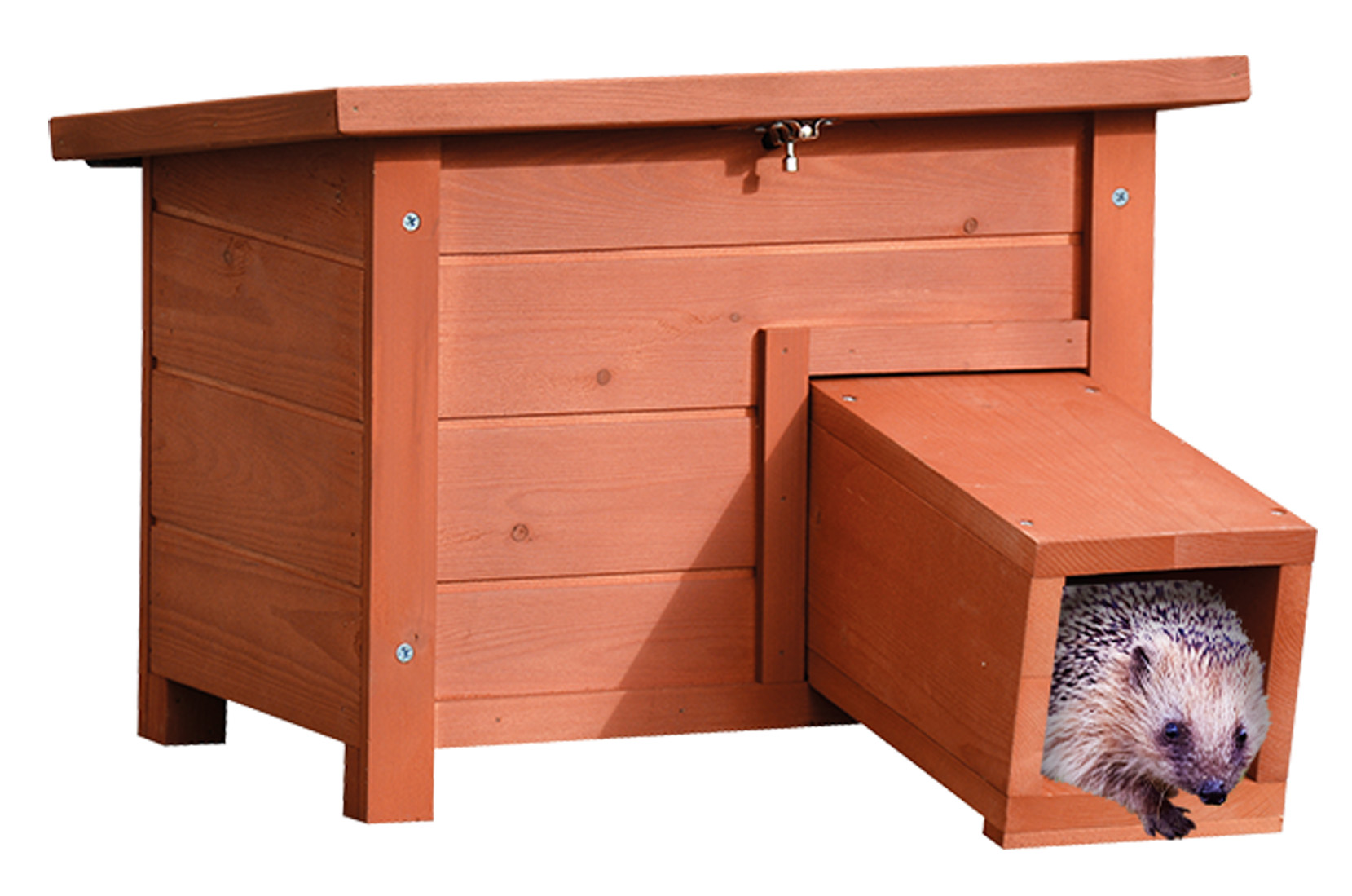 Hedgehog houses